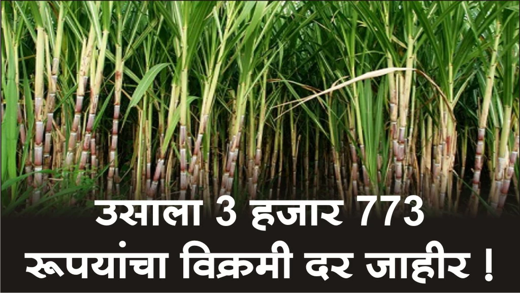 Sugarcane FRP Price Increase 3