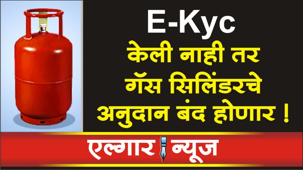 LPG gas e kyc online