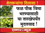 Extension of deadline for farmers to pay fruit crop insurance