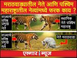 What is the difference between leaders in Western Maharashtra and Marathwada