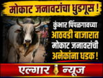 Many injured by stray animals at weekly market