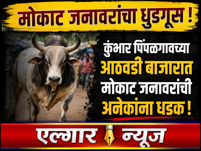 Many injured by stray animals at weekly market